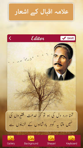Urdu Shayari poetry on picture screenshot 8