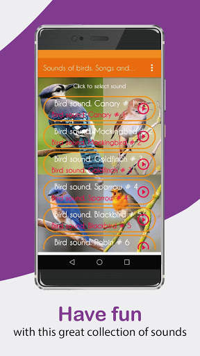 Sounds of birds. Songs and bird tones. screenshot 5