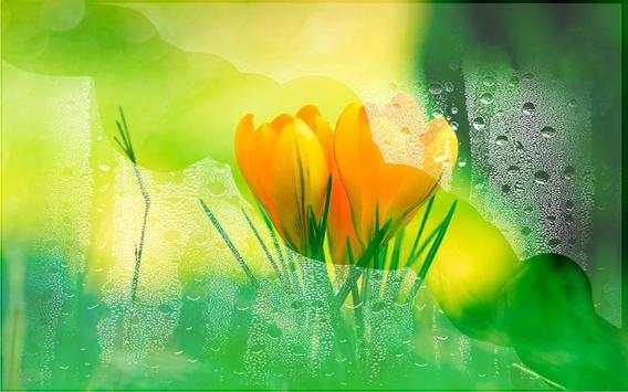 Crocus Free live wallpaper screenshot 7