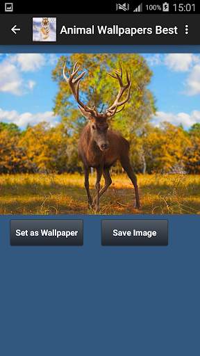 Animal Wallpapers App 🐈🐅🐎 : Animal Background screenshot 8