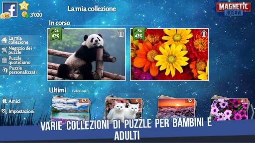 Magnetic Jigsaw screenshot 4