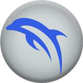 Dolphin Emulator Pro 1.0