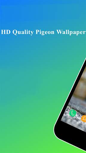 Pigeon Wallpaper screenshot 1