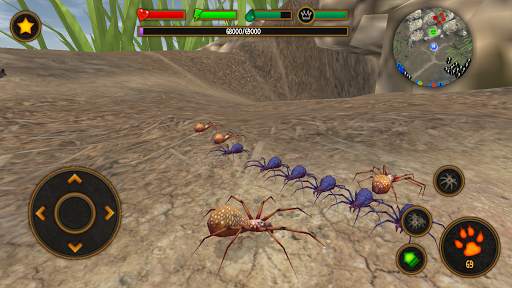 Life of Spider 4 تصوير الشاشة