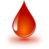 Blood Finder 1.1