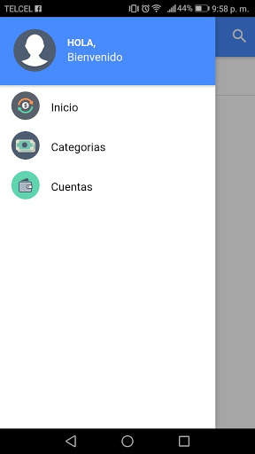 Mis Finanzas screenshot 3