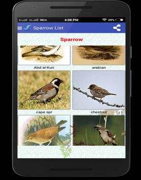 Sparrow Birds स्क्रीनशॉट 8