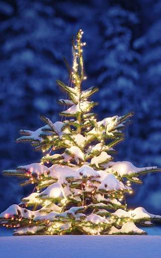HD Christmas Live Wallpaper screenshot 1