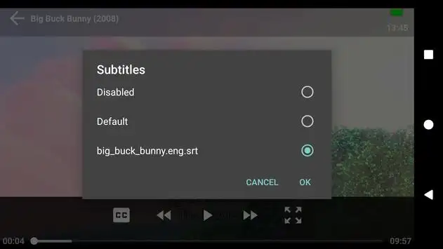 YesPlayer screenshot 2