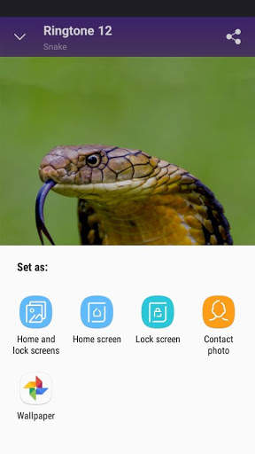 Snake - RINGTONES and WALLPAPERS screenshot 5