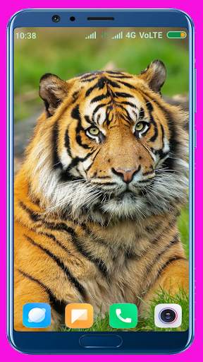 Tiger Wallpaper Best 4K screenshot 6