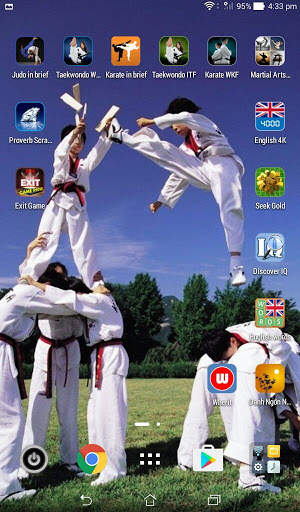 Martial Arts Wallpaper screenshot 9