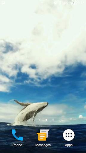 Whale HD Video Live Wallpaper screenshot 1
