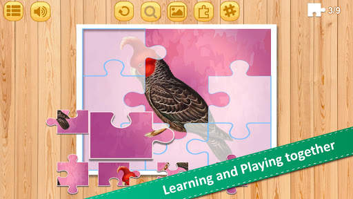 Jigsaw Birds Collection Puzzle 2- Educational Game screenshot 3