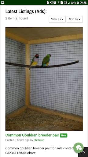 Online Birds PK screenshot 5