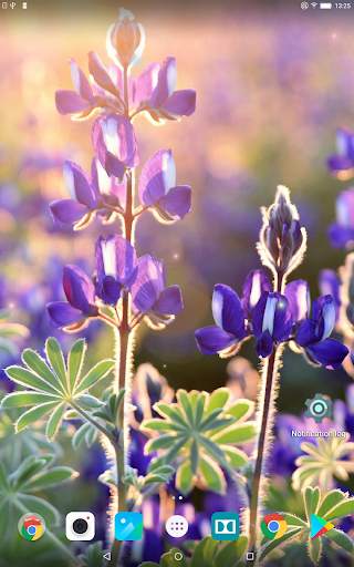 Beautiful Spring Wallpapers screenshot 9