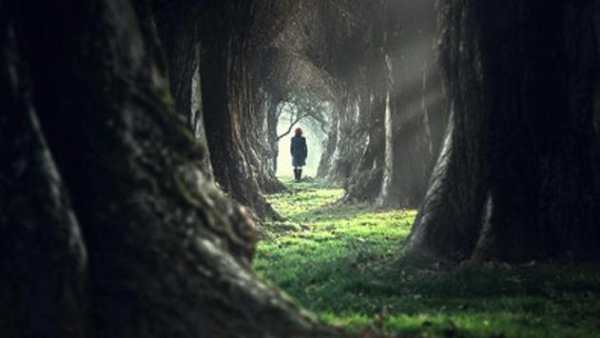 Haalim episode  09 screenshot 2