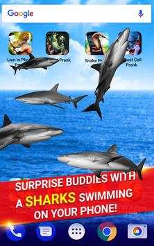 Shark in Phone Prank screenshot 3