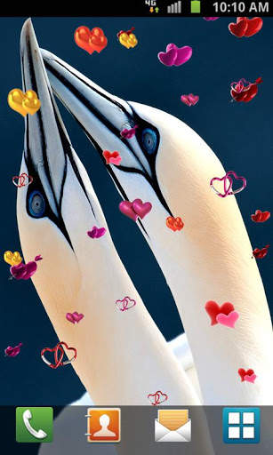 Love Birds Live Wallpaper screenshot 2