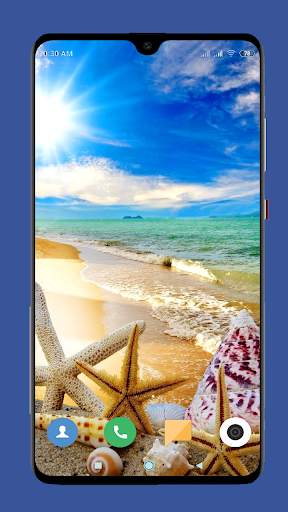 Seashell Wallpaper HD screenshot 7