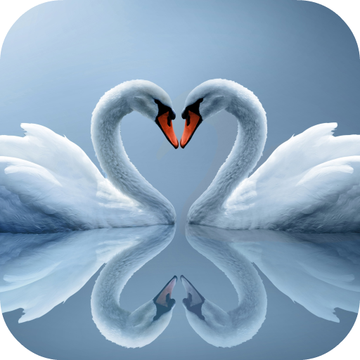 Swans Live Wallpaper icon