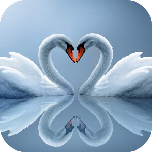 Swans Live Wallpaper 2.0