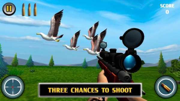 Bird Hunting screenshot 1