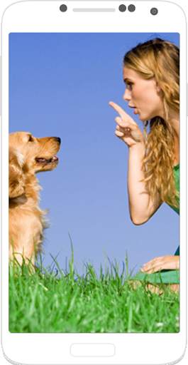 Dog Training - Train your Dog screenshot 1