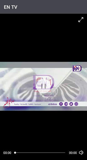 EN TV screenshot 3