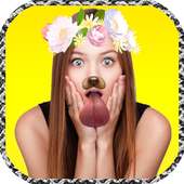 snap-filtros de foto