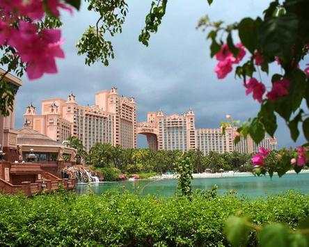 Nassau Game Jigsaw Puzzles screenshot 5