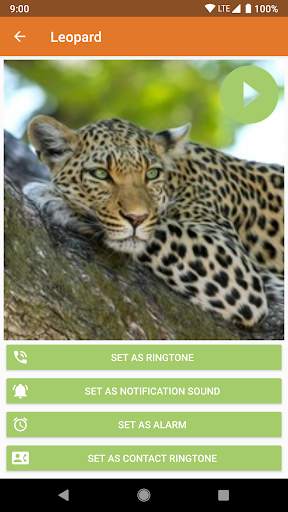 Animal Ringtones & Sounds screenshot 6