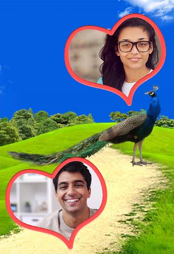 Peacock Dual Frames Photo Album 4 تصوير الشاشة