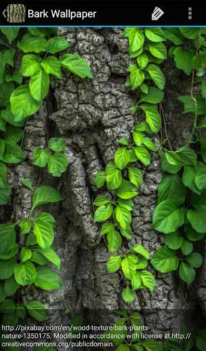 Bark Wallpaper screenshot 8