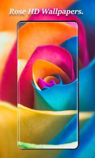 Rose Wallpapers screenshot 1