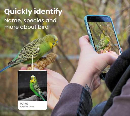 Bird identification: Picture bird identifier app screenshot 1
