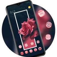 Flower theme | gorgeous blossom red roes on 9Apps