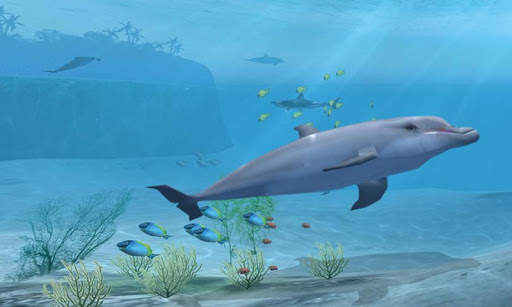 Shark VR sharks games for VR screenshot 5