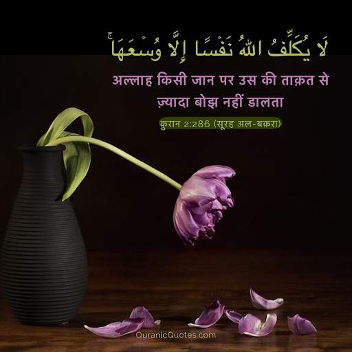 Learn Quran in Hindi and Urdu - Lectures and More! screenshot 1