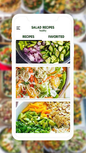 Salad Recipes Offline screenshot 2
