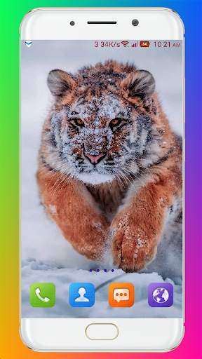 Tiger Wallpaper HD screenshot 14