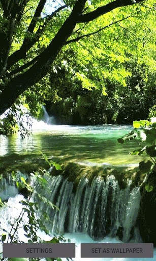 Forest River Live Wallpaper screenshot 1