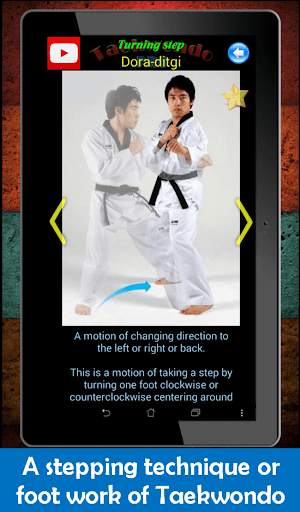 Taekwondo Pro screenshot 14