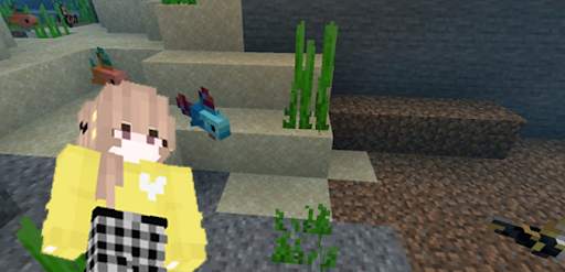 World Expansion Mods for Minecraft screenshot 2