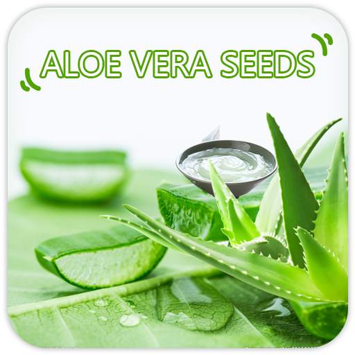 Aloevera Seeds 2.0