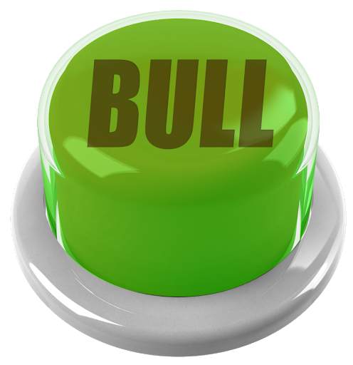 Bull Button screenshot 2