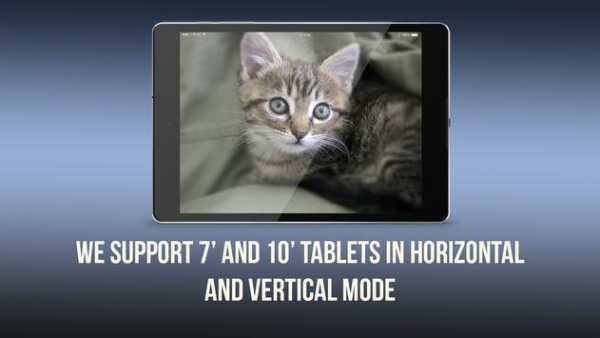 Cat Wallpaper screenshot 7
