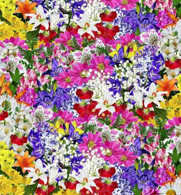 Beautiful Flowers Wallpaper screenshot 1