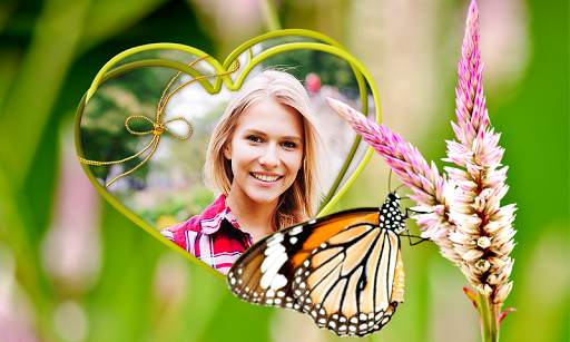Butterfly Photo Frames screenshot 6