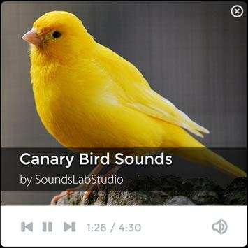 Canary Bird Sounds screenshot 1